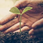 Recent news in international trade in food