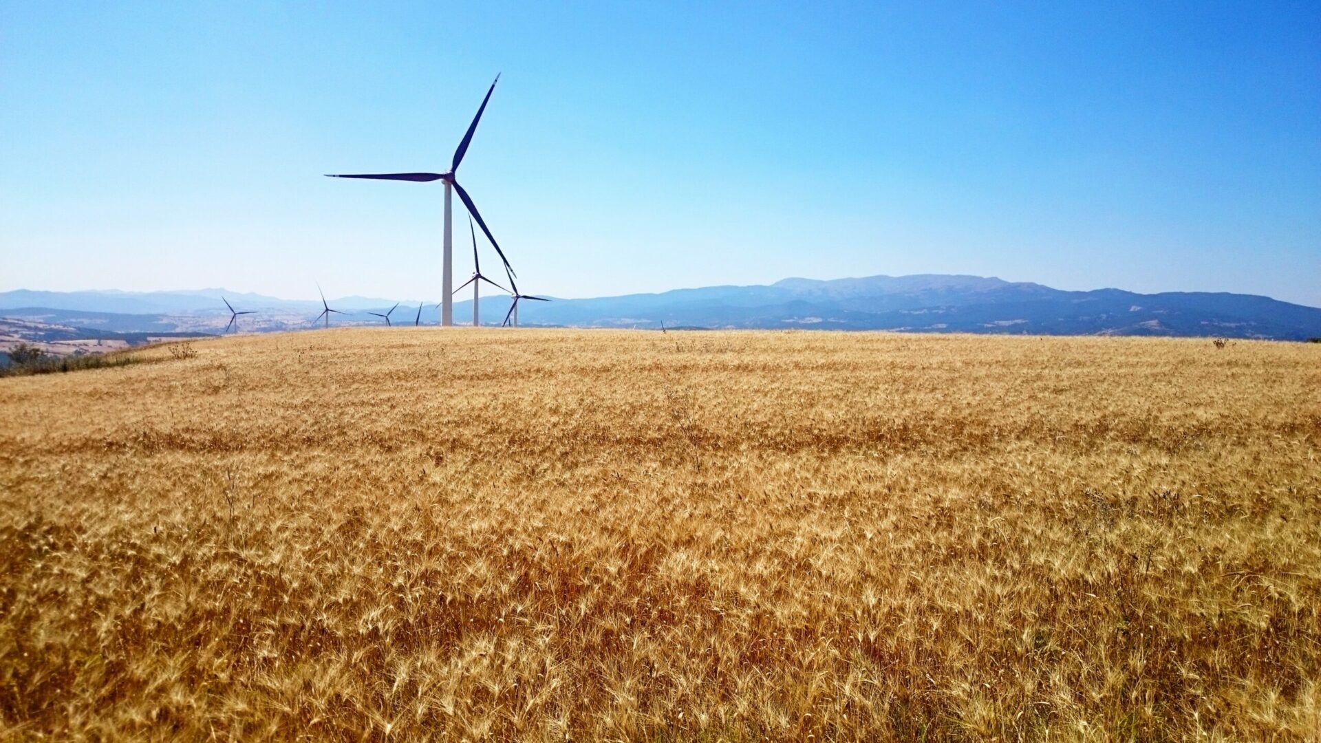 Setterwalls has advised Octopus Renewables Infrastructure Trust plc in connection with its acquisition of the wind farm project Ljungbyholm of 48 MW from OX2