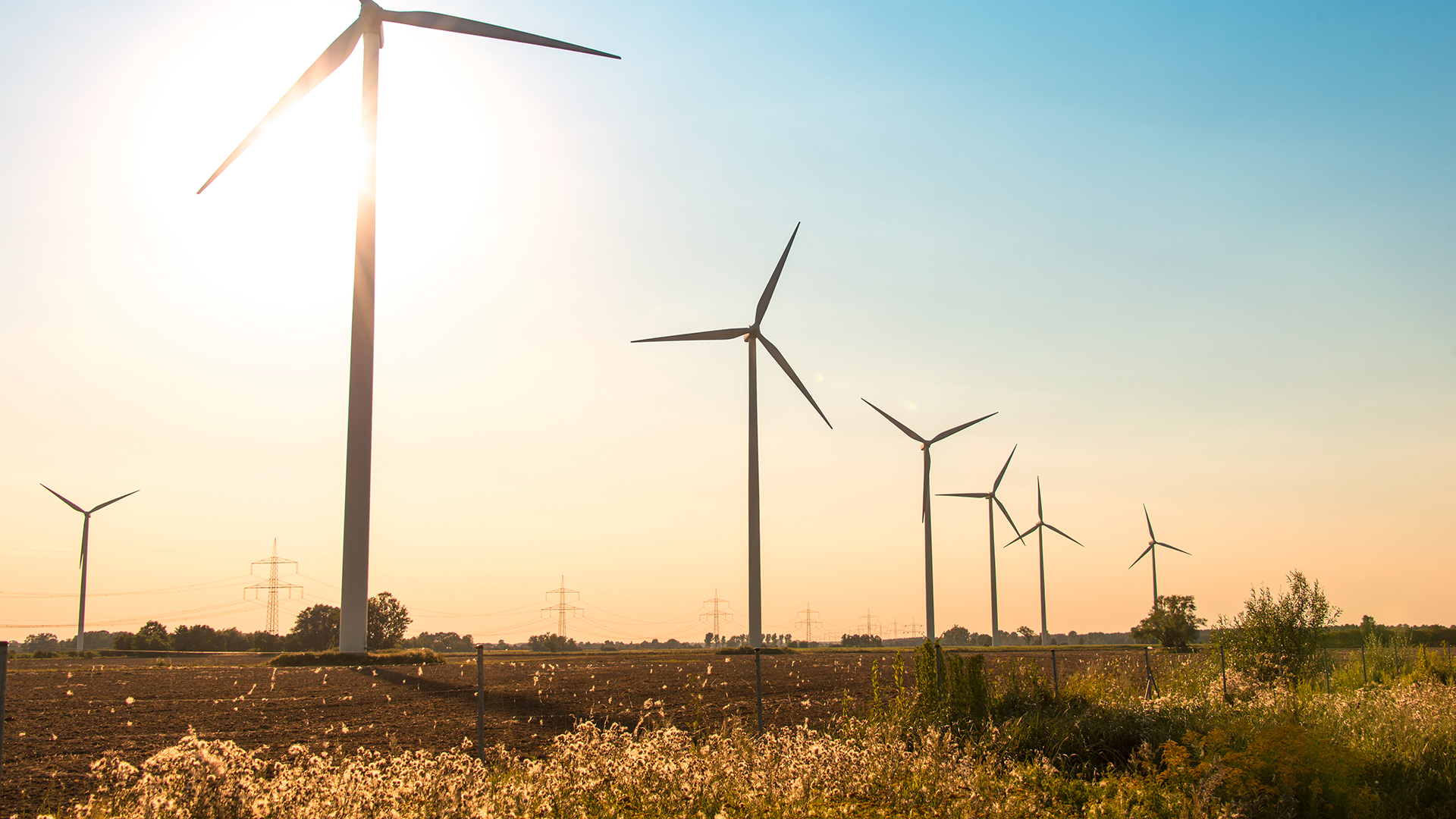 Stadtwerke München acquires a wind farm in Sweden