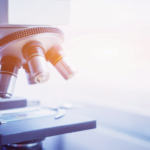Life Sciences Report November 2021