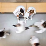 Important decision on the distinction between marketing and non-commercial information in relation to medicinal products