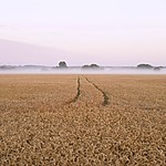 Scraping the Surface of Web Scraping – What Fintech Companies Should Consider When Harvesting the Web