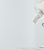 Setterwalls Life Sciences Report May 2025