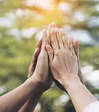 Setterwalls guldrankade hos World Trademark Review