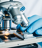 Setterwalls Life Sciences Report Maj 2026