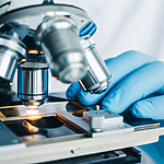 Setterwalls Life Sciences Report Maj 2026