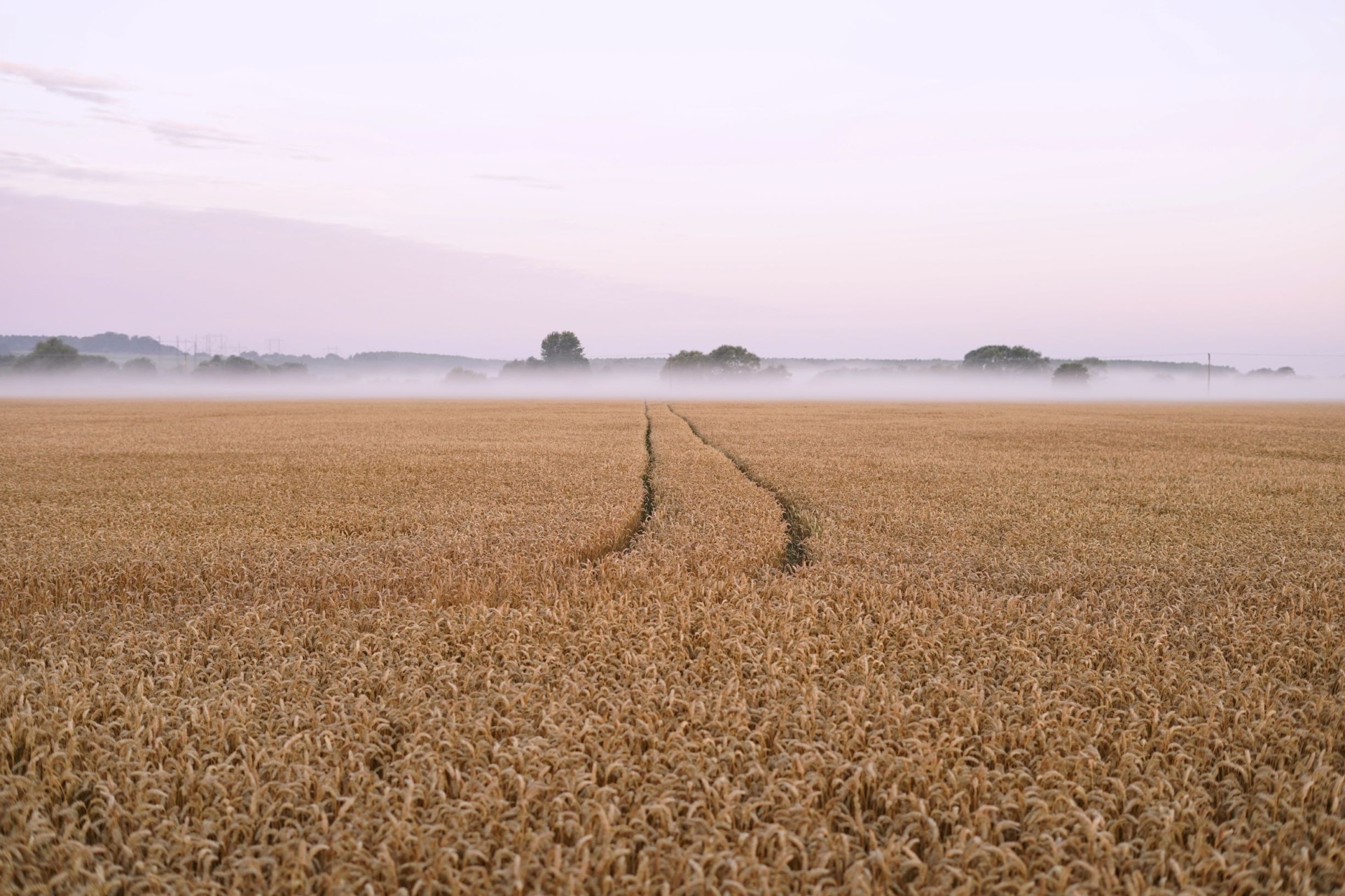 The Swedish Government is proposing new rules to enhance controls of fraud within the agri-food chain